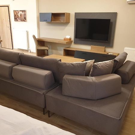 Olive Deluxe Apartment คาร์ดิทซา ภายนอก รูปภาพ